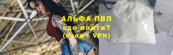 индика Волоколамск