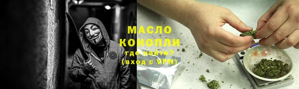 индика Волоколамск
