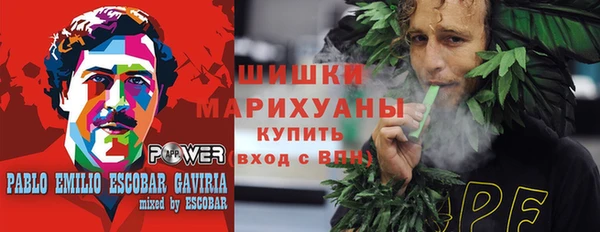 индика Волоколамск