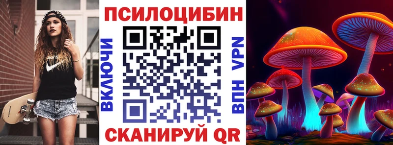 kraken онион Ермолино Псилоцибиновые грибы ЛСД